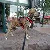 danielmatis1 - @danielmatis1 - TikTok