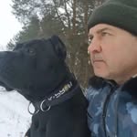 Daniel matney - @stephen_colbert_fanpage23 - Instagram