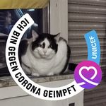 Daniel Mattern - @flecki15 - Instagram