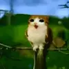 𝓓𝓪𝓷𝓲𝓮𝓵 𝓜𝓪𝓽𝓽𝓱𝓲𝓪𝓼 - @daniel.matthias4 - TikTok