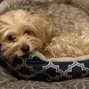 Danielle Matthies - @daniellematthies2 - TikTok
