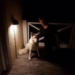 Daniel Matthiesen - @daniel.matthiesen - Instagram