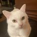 Daniel Mattingly - Facebook