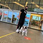 Daniel Mattos - @danielcmattoss - Instagram