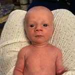 Daniel Matty - @danimalbklyn - Instagram