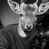 Daniel Matusik - @kreska.imprezka - TikTok