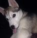 Daniel Matuska - Facebook