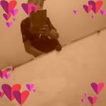 Dániel Mátyás - @daniel96027 - Instagram