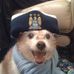 Daniel Matz - Facebook