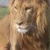 Daniel Mauck - Facebook