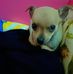 Daniel Maugeri - Facebook