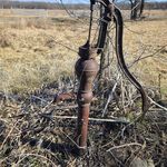 Daniel Mauk - @thedanmauk - Instagram