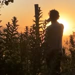 D Maulén Bustamante - @danielmaulen_ - Instagram