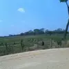 Maura Daniel - @maura.daniel7 - TikTok