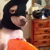 DANYOOO - @danielmauri81 - TikTok