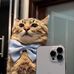 Daniel Mauricio - Facebook