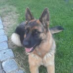 Daniel Mauser - Facebook