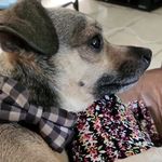 Daniel Max - @successfuldaniel_max - Instagram
