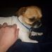 Daniel Maxie - Facebook