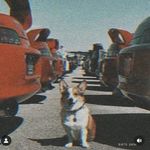 Daniel Mayen - @daniel._.mayen - Instagram