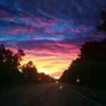 Daniel Mayeux - @runincirclesdan - Instagram