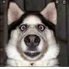 Dannie Maynard - @maynard.dannie - TikTok