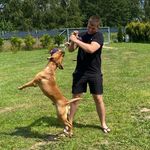 Daniel Mazurek - @danio1303 - Instagram