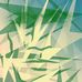 Daniel Mazurowski - Facebook