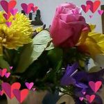 Daniela Mazzocco - @daniela.mazzocco.33 - Instagram