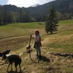 Daniela Mazzotta - @daniela.mazzotta.50 - Instagram