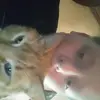 Dan  mcandrews - @dan.hi - TikTok