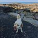 Daniel Mcareavey - Facebook