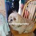 Daniel McCaffrey - Facebook