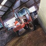 Daniel McCallister - @mccallister3918 - Instagram