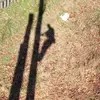 danielmccallister - @daniel.mccalliste - TikTok