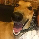 Kevin McCallister - @kevin_daniel_mccallister - Instagram