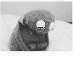 daniel mccants - @_honestly_garbage_ - Instagram