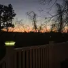 Daniel McCarty - @user12654784223 - TikTok