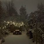 Dan - @daniel_mccaughan - Instagram