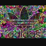 Daniel - @danielmcclean448 - Instagram