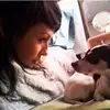 dani mcclinton - @dani.mcclinton - TikTok