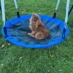 Daniel McCord - @gamesoldier444 - Instagram