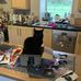Daniel McCowan - Facebook