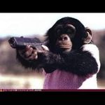 daniel mccray - @danielmccray7 - Instagram
