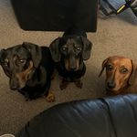 Daniel McCue - @daniel_mccue - Instagram