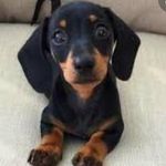 Daniel_McCue - @daniel_mccue9 - Instagram