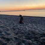 Daniel McCue - @danielmccue3697 - Instagram