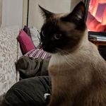 Daniel McCutcheon - @daniel.mccutcheon.5055 - Instagram