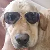 Daniel McDonagh - @daniel.mcdonagh2 - TikTok