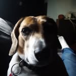 Daniel McDuffee - @daniel.mcduffee - Instagram